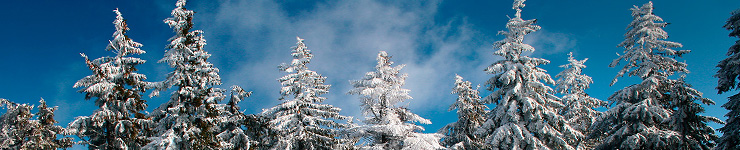 Úvodní stránka | Region Beskydy (Foto: Pavel Szabo)